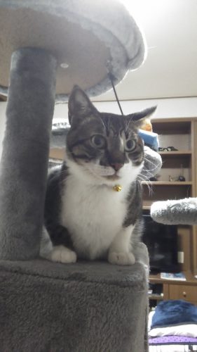 4日のチッチとこぶち♪