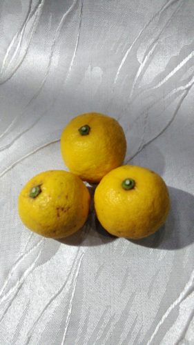 素敵なお客さま（Ｍさん）♪