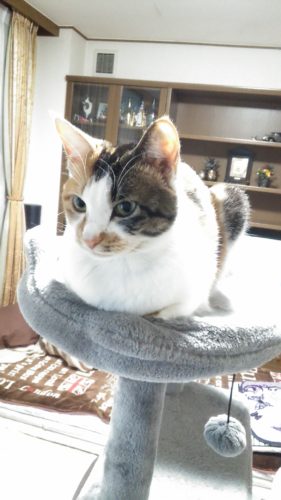 7日のチッチとこぶち♪