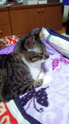 8日のチッチとこぶち♪