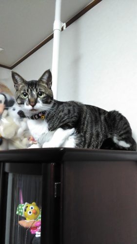 11日のチッチとこぶち♪