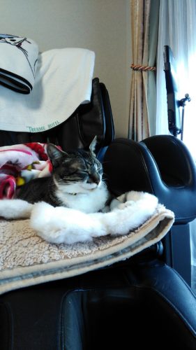 12日のチッチとこぶち（1歳3ヶ月）♪