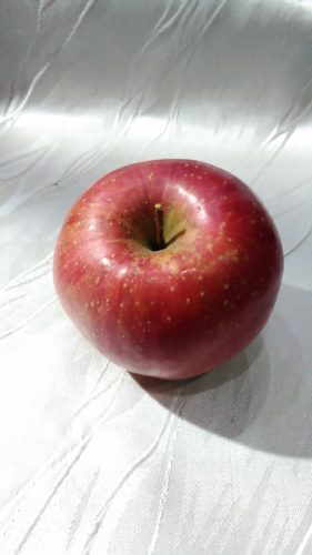 素敵なお客さま（Ｏさん）♪