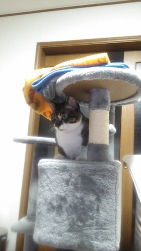 16日のチッチとこぶち♪