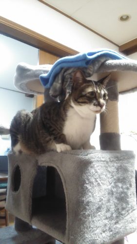 18日のチッチとこぶち♪