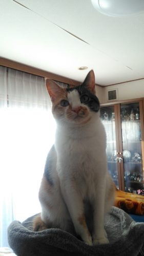 19日のチッチとこぶち♪