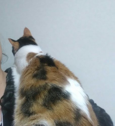 20日のチッチとこぶち♪