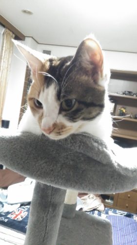 31日のチッチとこぶち♪