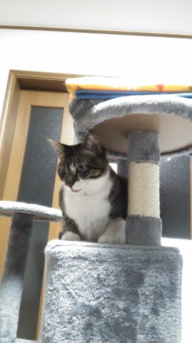 4日のチッチとこぶち♪