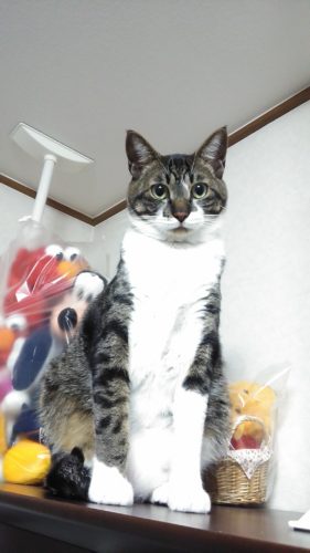 5日のチッチとこぶち♪