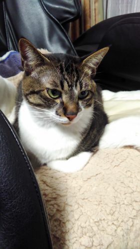 6日のチッチとこぶち♪