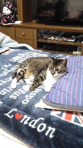 9日のチッチとこぶち♪