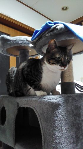 10日のチッチとこぶち♪