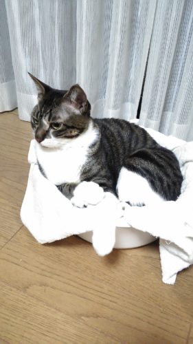 12日のチッチとこぶち♪