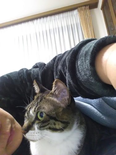 16日のチッチとこぶち♪