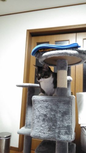 18日のチッチとこぶち♪