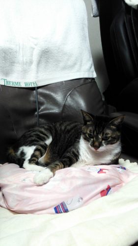 21日のチッチとこぶち♪