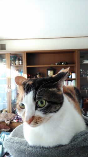 24日のチッチとこぶち♪