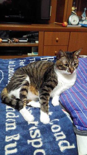 25日のチッチとこぶち♪