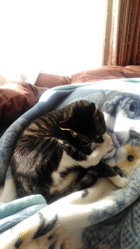 2日のチッチとこぶち♪