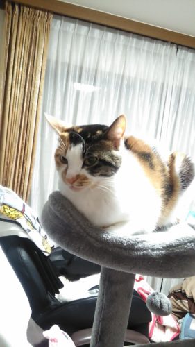 2日のチッチとこぶち♪