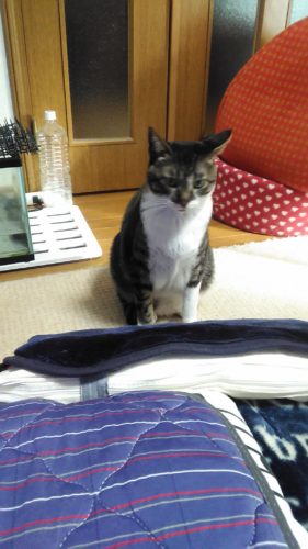 4日のチッチとこぶち♪