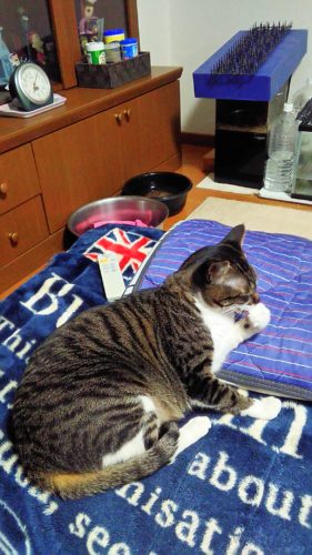 5日のチッチとこぶち♪