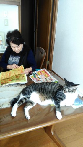 9日のチッチとこぶち♪