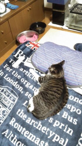 14日のチッチとこぶち♪