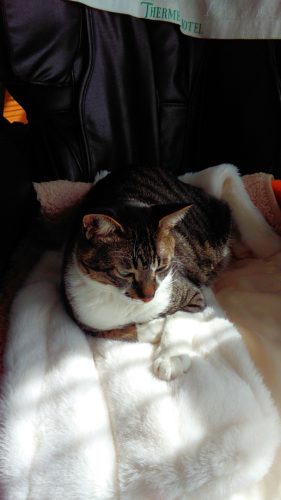 15日のチッチとこぶち♪