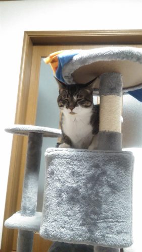 17日のチッチとこぶち♪