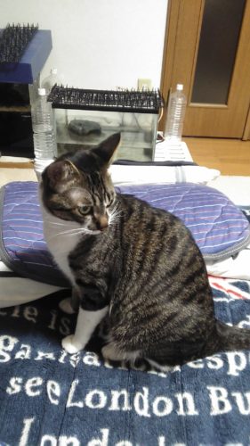 21日のチッチとこぶち♪