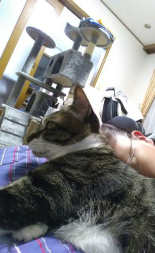 25日のチッチとこぶち♪