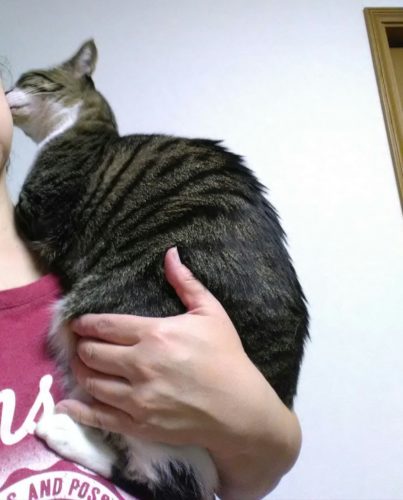 3日のチッチとこぶち♪