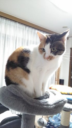 4日のチッチとこぶち♪