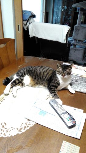 5日のチッチとこぶち♪