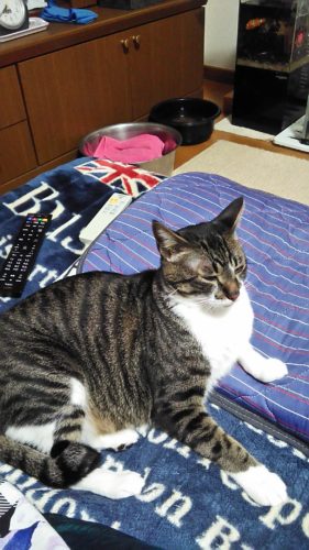 6日のチッチとこぶち♪