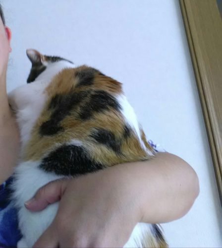 7日のチッチとこぶち♪