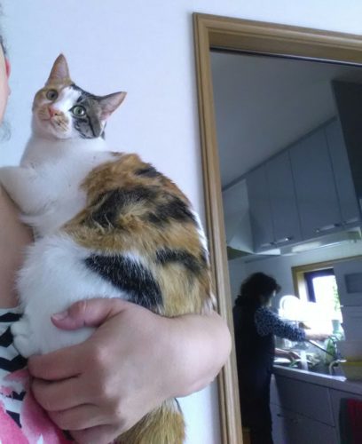 12日のチッチとこぶち♪