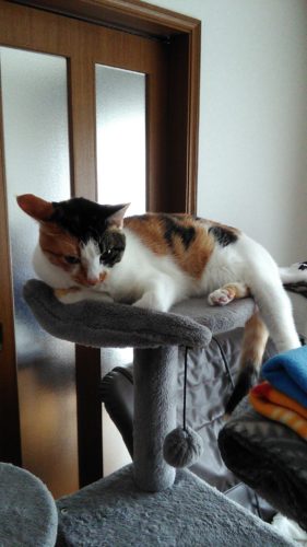 16日のチッチとこぶち♪