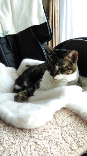 20日のチッチとこぶち♪