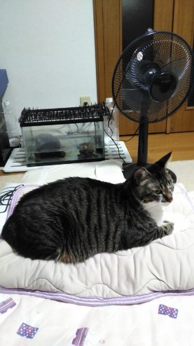 21日のチッチとこぶち♪