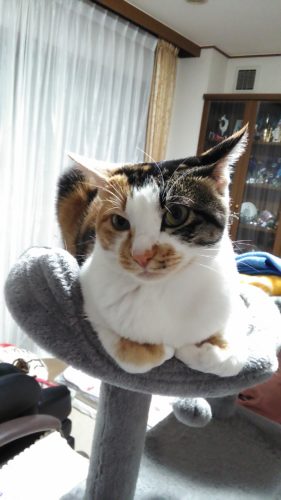 22日のチッチとこぶち♪