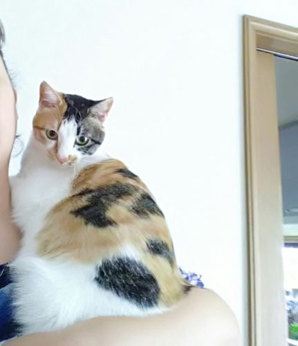 23日のチッチとこぶち♪