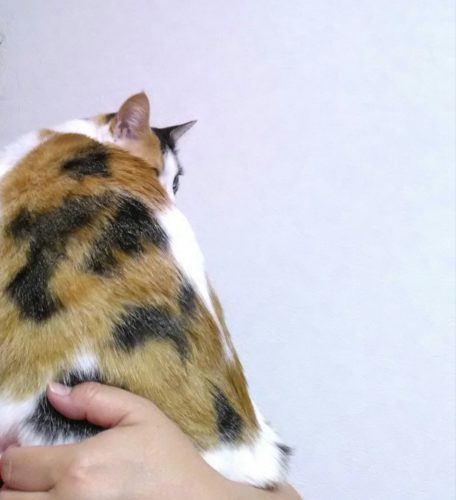 24日のチッチとこぶち♪