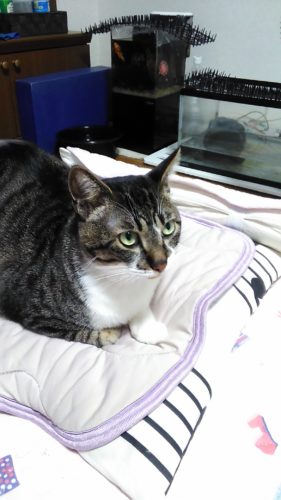 25日のチッチとこぶち♪