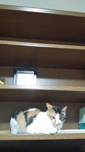 30日のチッチとこぶち♪