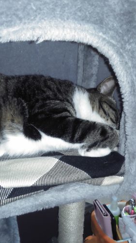 1日のチッチとこぶち♪