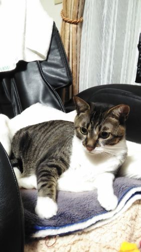 7日のチッチとこぶち♪