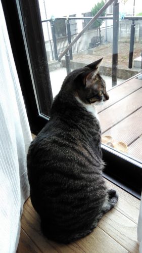 8日のチッチとこぶち♪